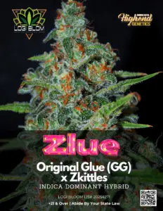 Zlue