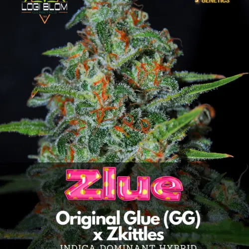 Zlue