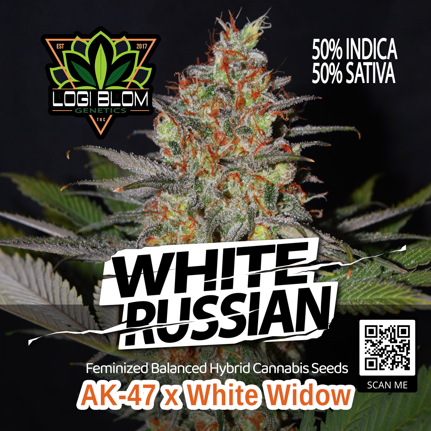 ORANGE LINE — HIGH END PREMIUM CANNABIS SEEDS THAT WASH — 11s Genetics