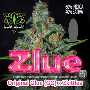 Zlue by GG Genetics